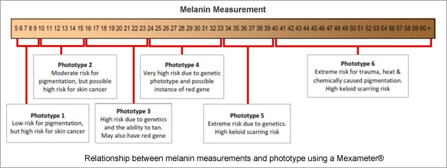 Melanin Measurement - Pastiche Training