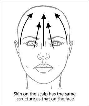 Skin on the scalp arrows - Pastiche Training