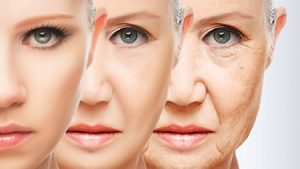 Understanding the Menopausal Skin course